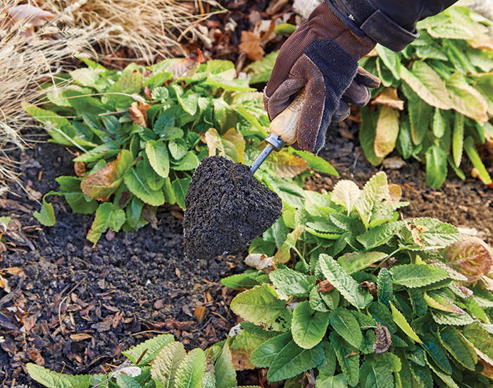 Adding compost to the garden in fall: Adding compost to garden beds in fall will help create healthier soil.