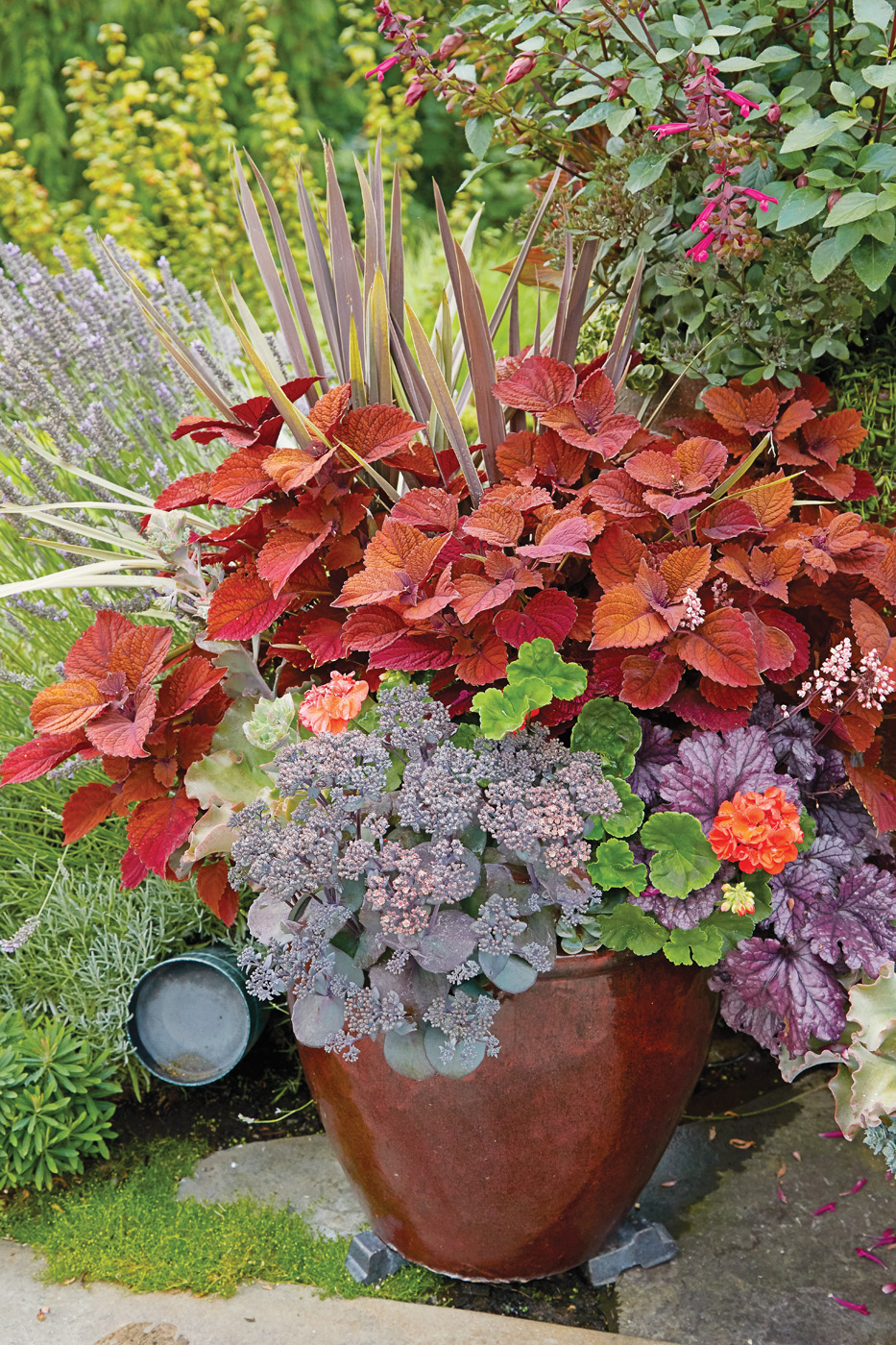 G2101 ProTips 03: Repeat color combos with a variety of plants in the containers around the backyard to create a coordinated look.