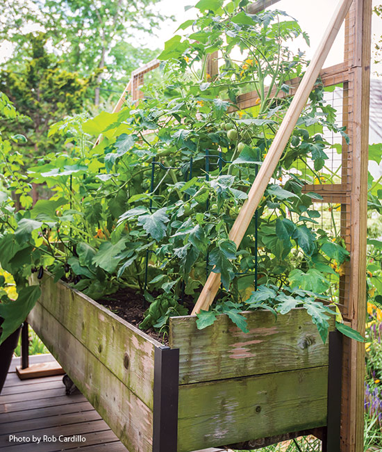 Urban Garden Retreat 