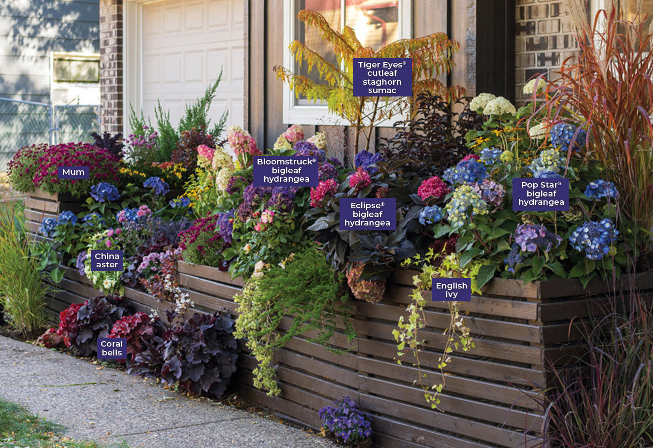Fall hydrangea planter garden Photo by Tracy Walsh: Just like an in-ground foundation planting, shrubs are the backbone of this multiseason planter. Photo by Tracy Walsh