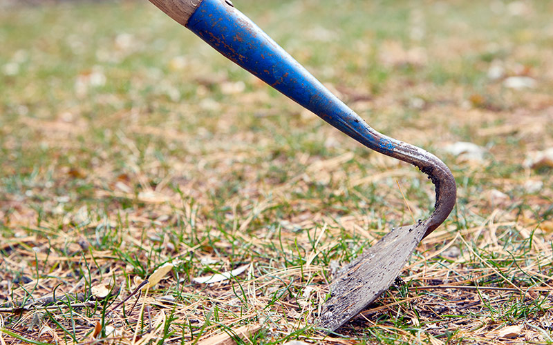 Draw hoe in the garden: Draw hoes work well for breaking up clods of dirt.