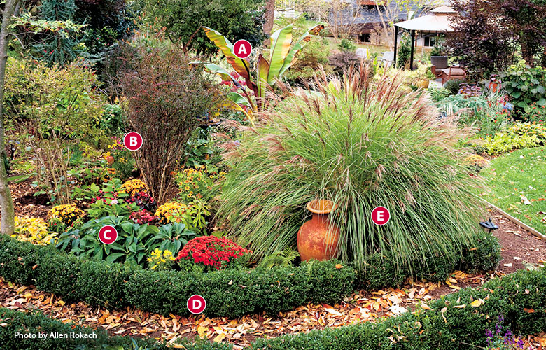 Fall-ornamental-grass-garden-design-ideas-banana-maiden-grass