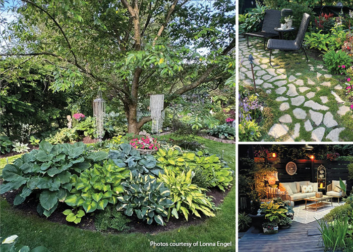 Lonna Engel Painted Leaf Hosta Garden, PA Runner Up 2025: This stunning hosta garden earned Lonna a spot as a runner-up in this year's contest!