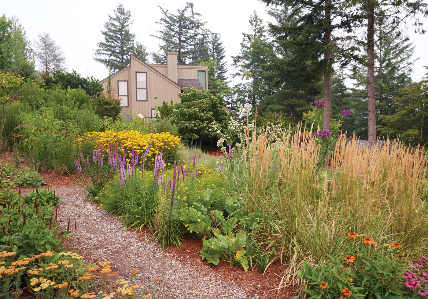 GG188 FG 15 82A5097: Gently curving paths take you through this part of the yard and make it easy to expand the borders. After a storm rolled through this area of the garden, Gene has experimented with perennials and grasses.