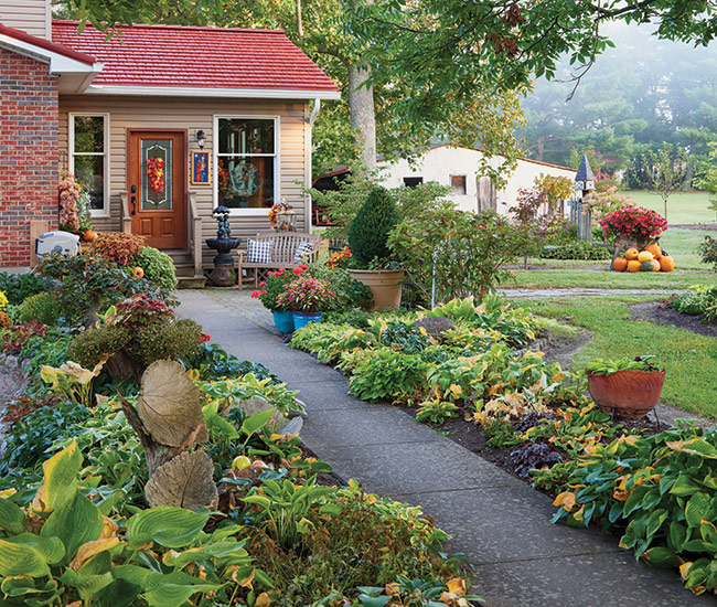 Light feature garden lead: As trees grow, gardens change. This area near the Lights’ back door used to be in full sun. Now a pecan tree’s (Carya illinoinensis) canopy creates the perfect conditions for shade-loving perennials.
