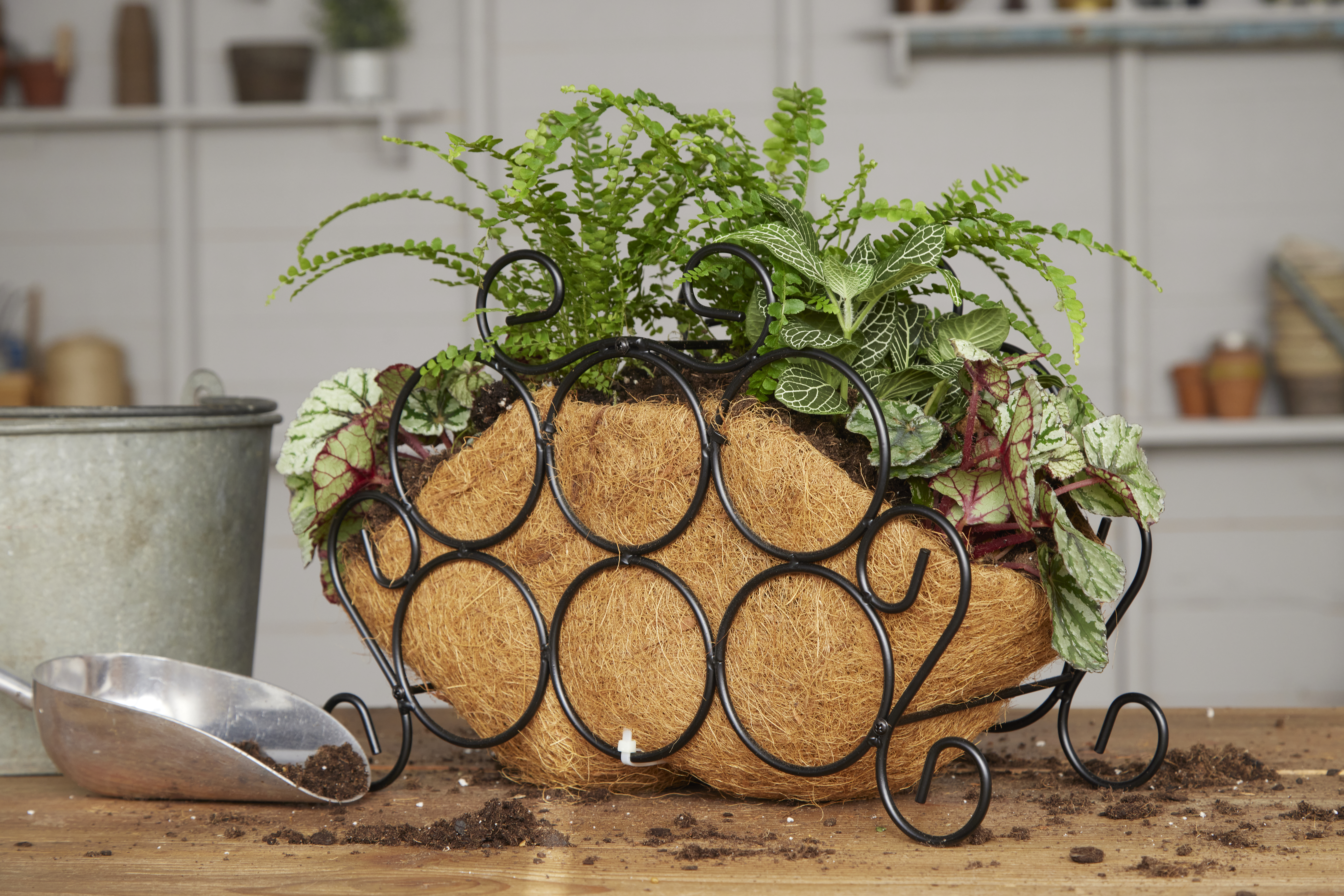 gami0037 252194: Put an old iron wine rack to work in the garden with this simple DIY planter.