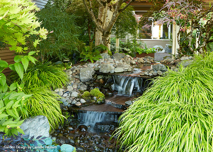 Paulsen water feature view from patio: The slope is steeper and the stream is wider on the patio side so the stream has a more active flow that's easier to appreciate from a distance. 