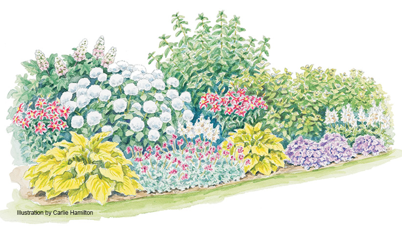 Four Season Hydrangea Border Garden Gate, How To Organise A Garden Border