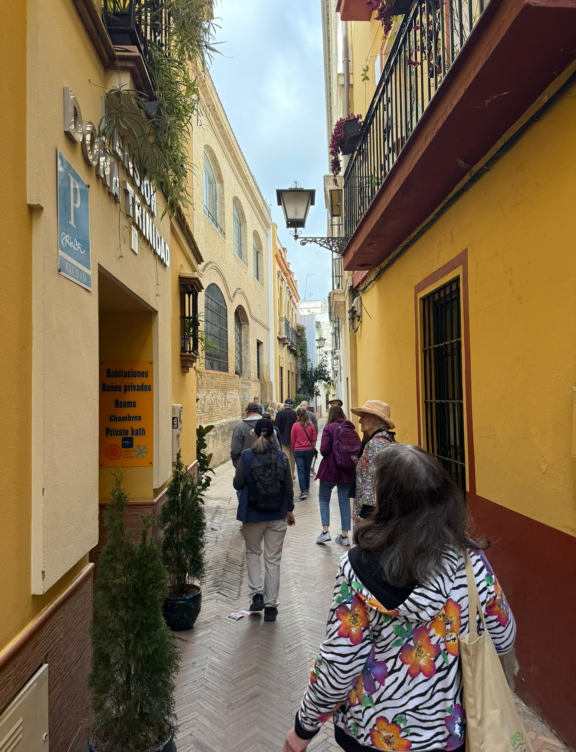 Seville Street: Even between sites, there is endless beauty to take in on the streets of Seville. A small alley is a vivid passageway with sprinklings of lush plant life.