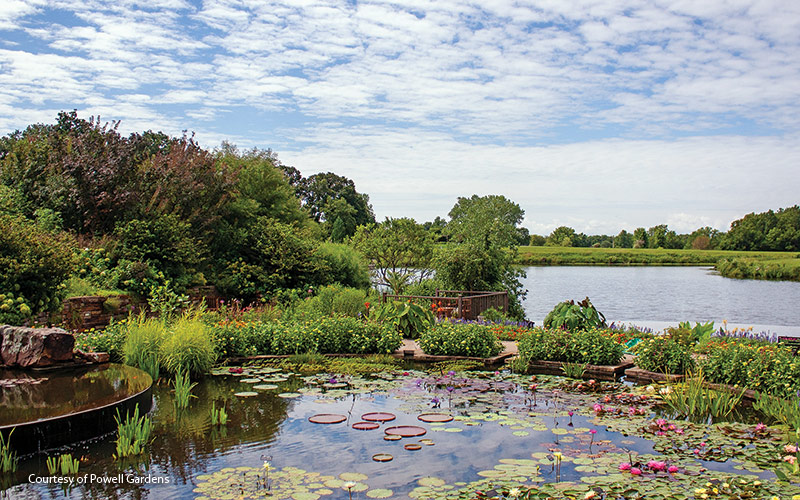 Powell-Gardens Island Garden: The tiered pools in the Marlese Lowe Gourley Island Garden are home to water lilies, lotus and other aquatic plants.. 