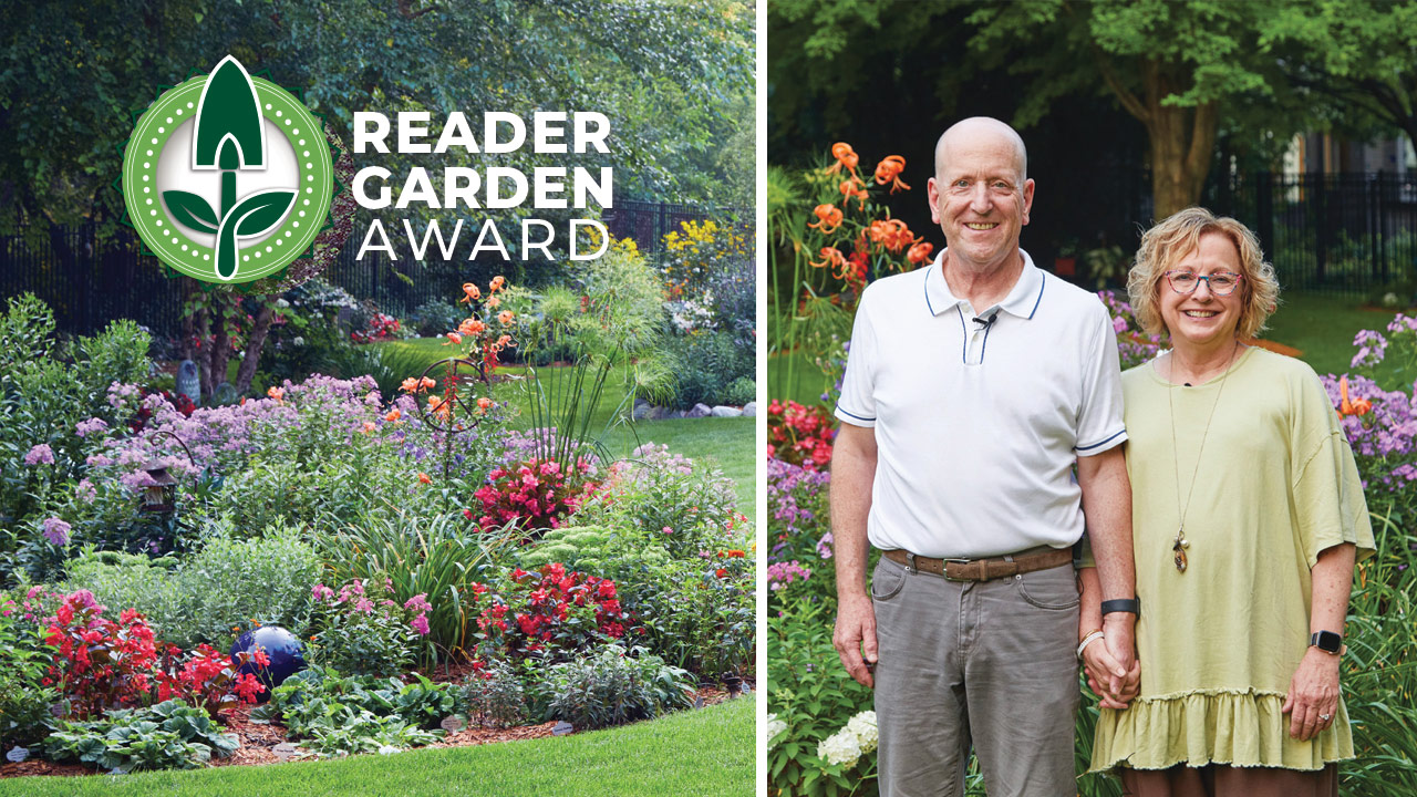 GG185 Garden Gate Reader Garden Award Winners Sue and Bob Olson of Mankato: Congratulations to Sue and Bob Olson of Mankato for being this year's Reader Garden Award Winners!
