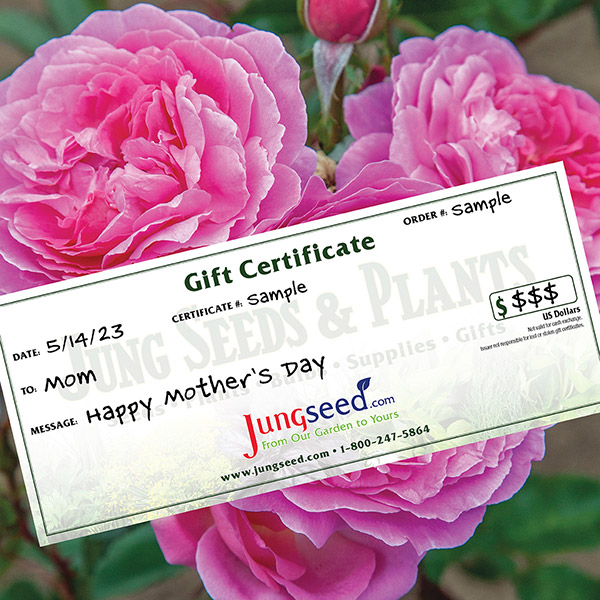 Jung Seed Co. Gift certificate