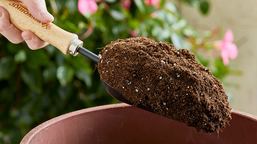 What Should I Do With Used Potting Mix Garden Gate