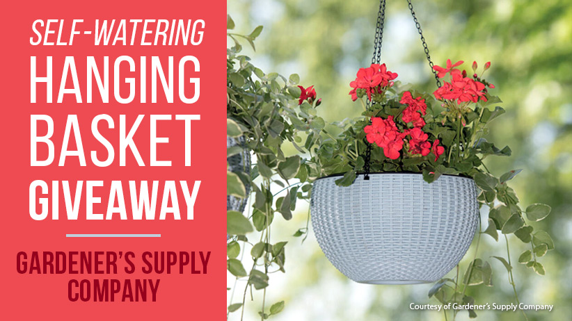 Gardener S Supply Self Watering Hanging Basket Giveaway Garden Gate