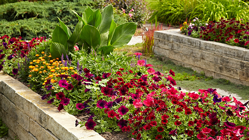 4 Ways to Mark a Garden Outline for a New Flower Bed