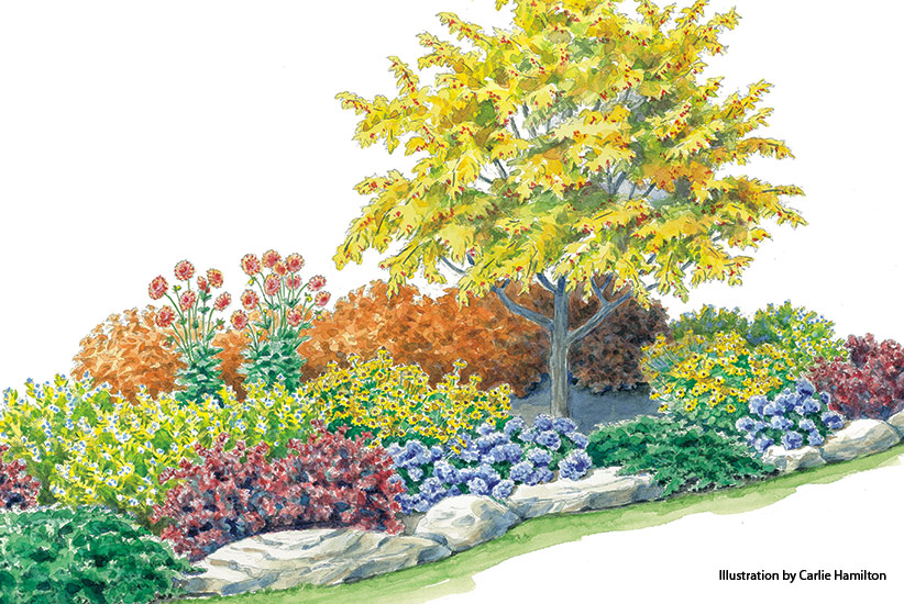 Fall Garden Bed Plan illustration by Carlie Hamilton: The planting around this flowering crabapple tree really shows off in fall.