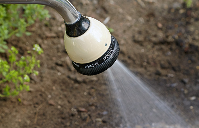 how-to-direct-sow-seeds-watering: Use the mist setting on your watering wand so you don't wash newly planted seeds away.