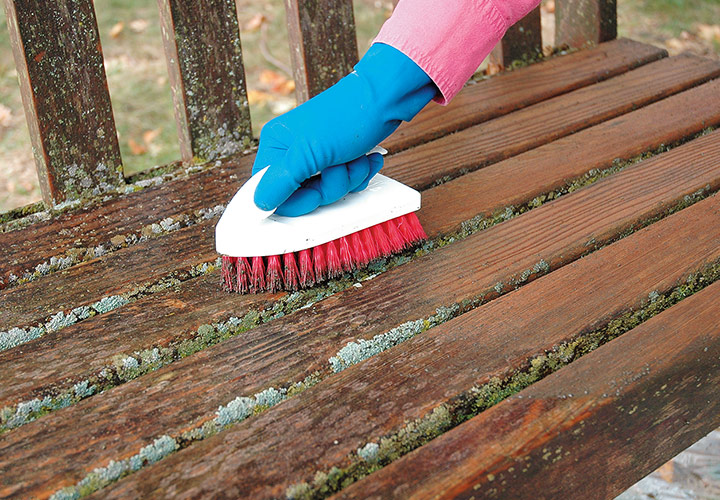 擦洗花园木凳:用刷子清除花园木凳上的污垢和碎片。