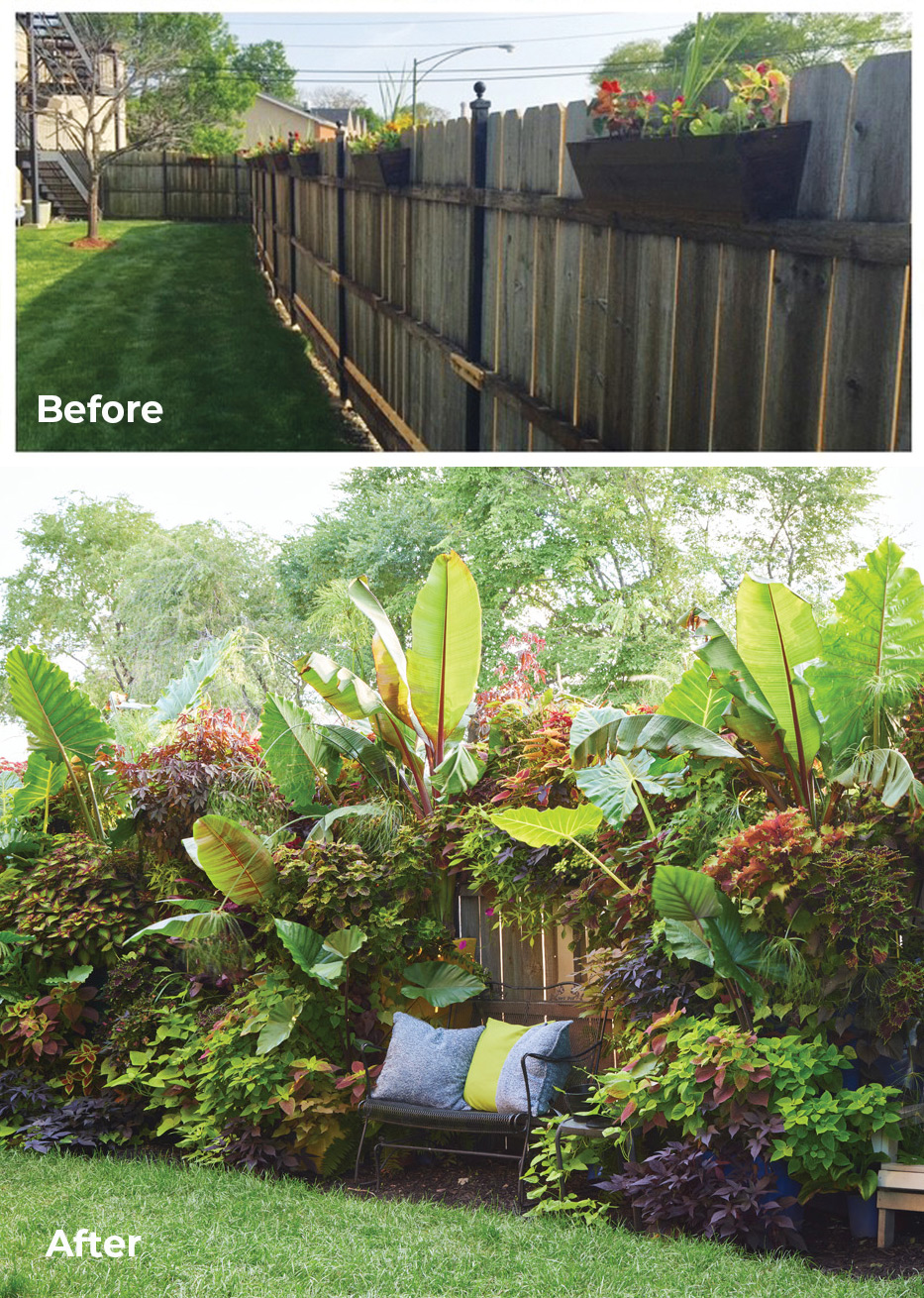 GG187 FG Deronis Cooper before-after-stack: Enormous bananas and elephant ears along with windowboxes full of coleus grow above the privacy fence, creating a sense of enclosure and contributing to a getaway feel for this side yard along a busy street.