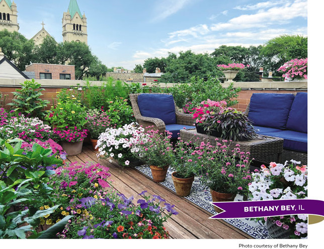 Container-challenge rooftop garden Bethany Bey, Chicago:  Surrounded by beautiful blooms and blue sky this rooftop patio provides a relaxing spot to sit and enjoy the skyline. 