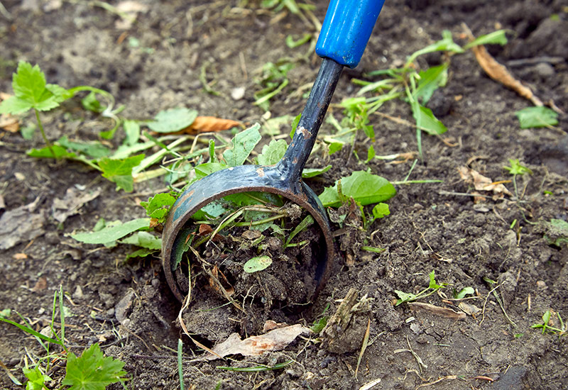 圆形花园锄头:圆形锄头的圆形边缘防止你损坏周围的植物。