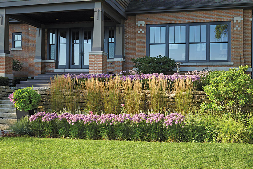 Garden repetition with allium and feather reed grass: Low-maintenance feather reed grass and allium don’t need much work to look good, just cut dead foliage back in spring to make way for new growth.