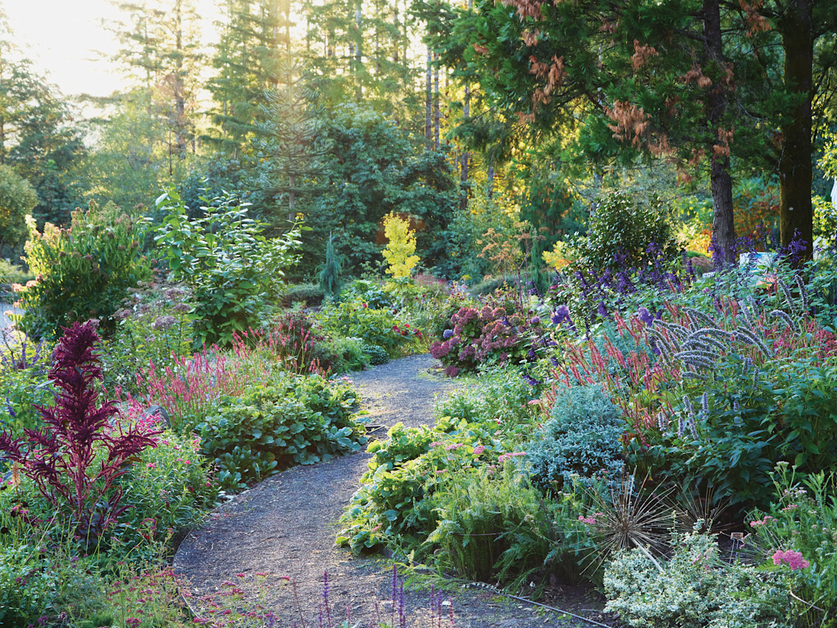 Lisa Graff garden pathway in late season: With a variety of plant shapes, colors and textures, this perennial border shines all season.