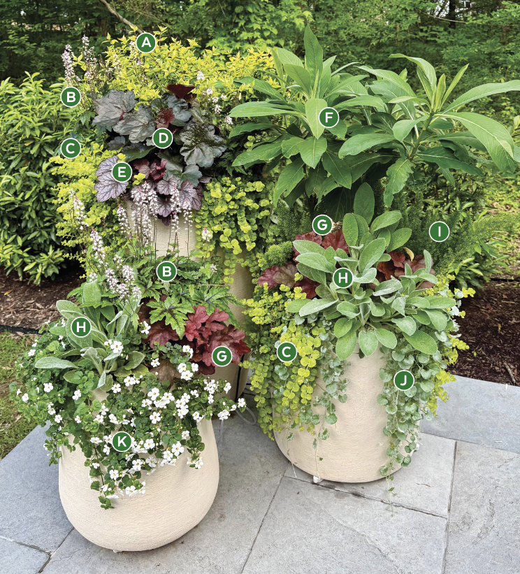 2026 container challenge honorable mention Camille McElroy