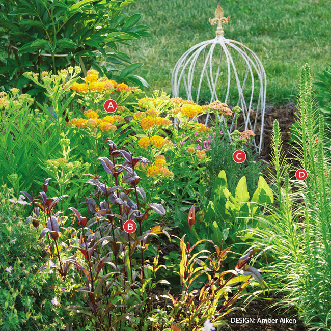 Summer combos welcome-for-wildlife lettered: Late afternoon sun sets this combination of orange butterfly weed, peach yarrow and burgundy-foliaged penstemon aglow.