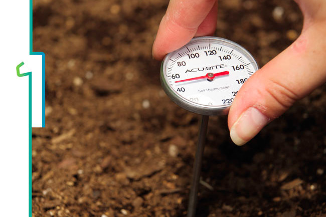 Using a soil thermometer:  A soil thermometer can tell you if it is time to plant seeds.