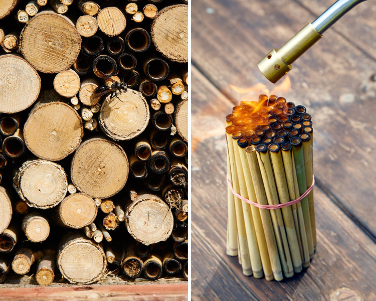 Add nesting tubes to your bee house: Add sticks, branches or twigs to your bee house. It looks good and the additions will actually help bees navigate their new “neighborhood.”