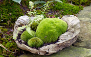 How To Make A Moss Rock Garden Garden Design Ideas