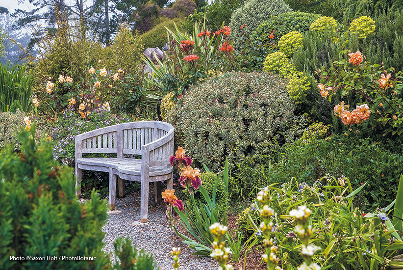 Our Mix And Match Guide To Create Perfect Cottage Garden Style