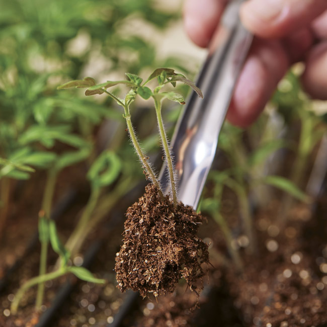 widger tool for seed starting