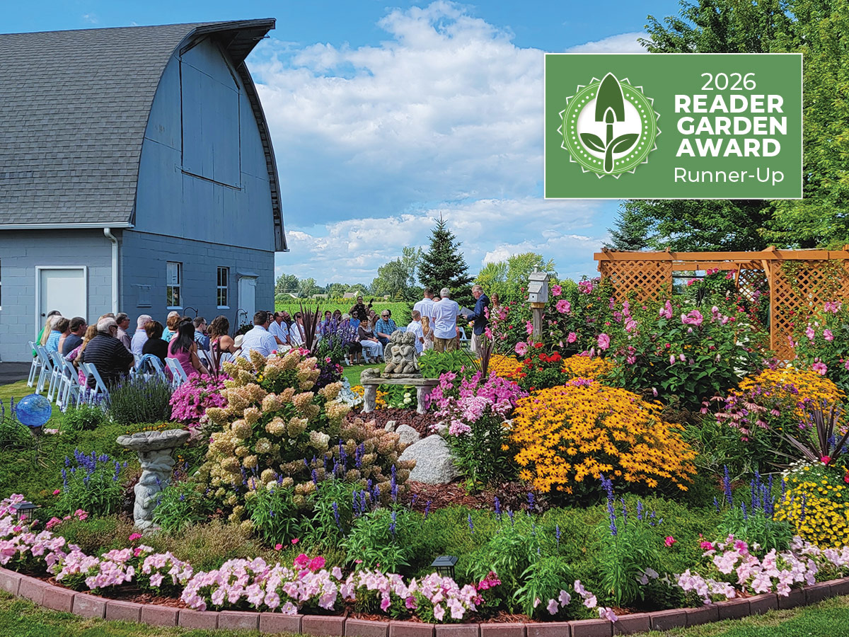 GG187 RGA 01 runner-up-lead: Shelly's stunning multiseason garden served as the backdrop for several of her children's weddings, making it even more special. Photo courtesy of the Bell family.
