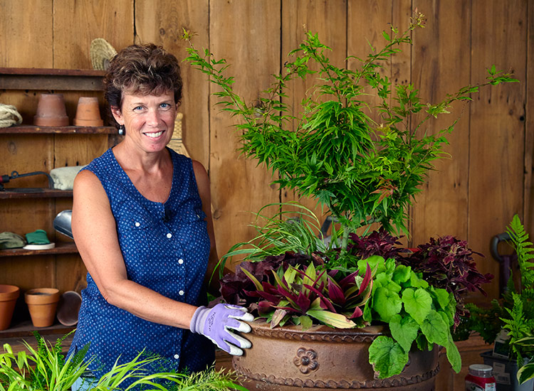 Best Tools for Container Gardening | Garden Gate