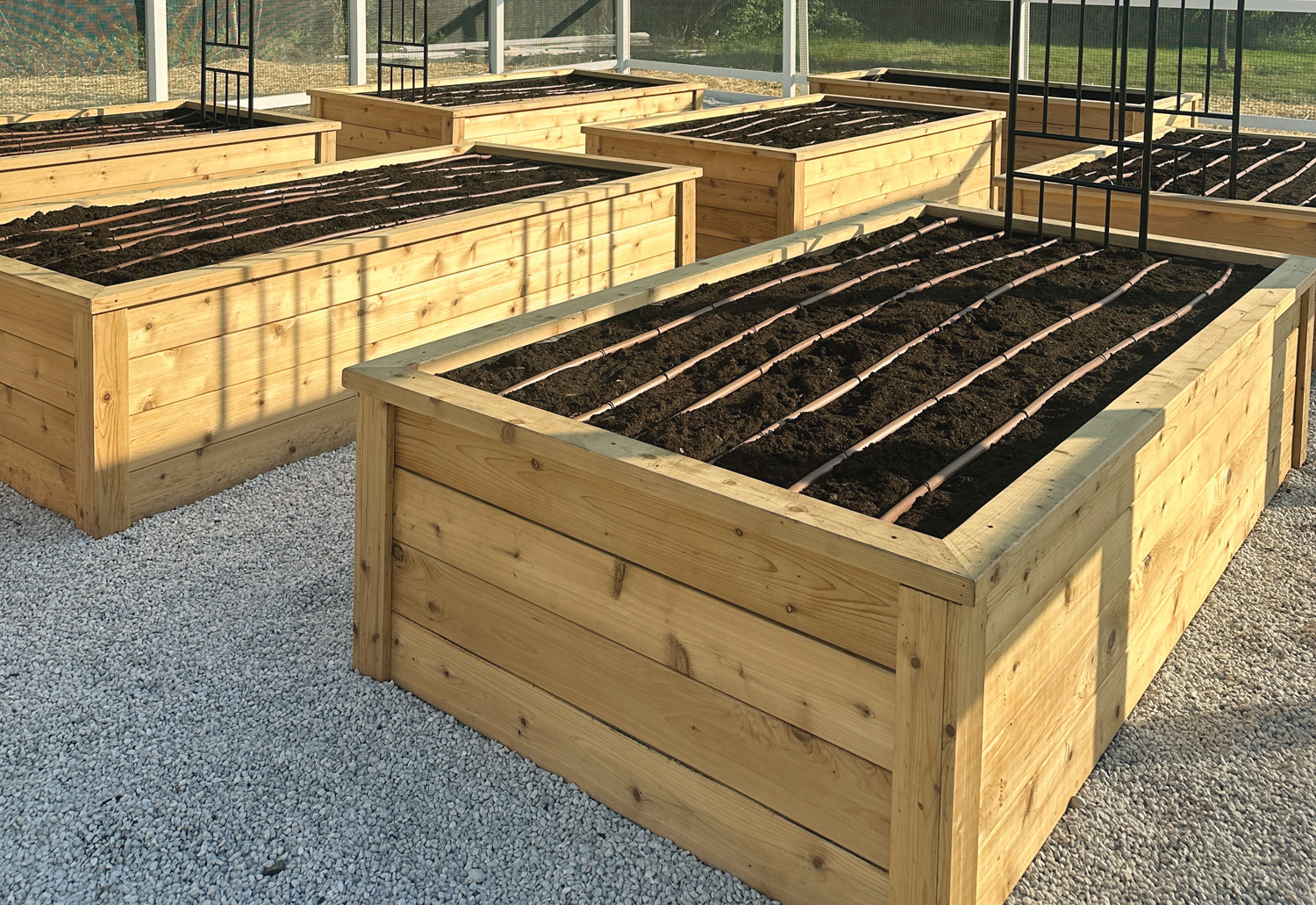 GG184 SW Irrigation system in a raised garden bed