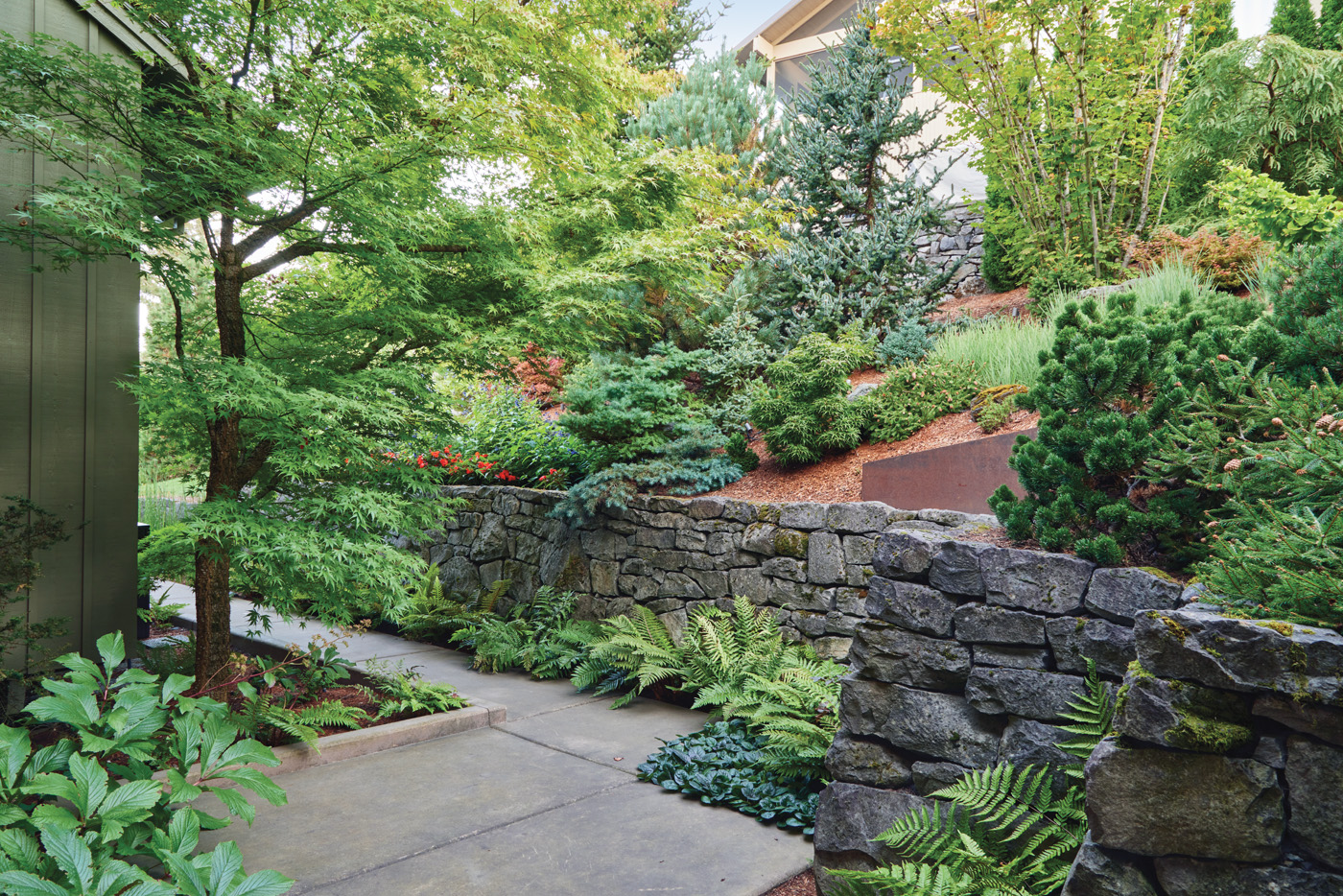 GG188 FG 03 gamp0433 256805: Built by local craftsmen, this 4-foot-tall dry-stacked stone wall does the practical work of securing the slope. But it’s also the focal point of the backyard and provides a lovely backdrop for shade-loving ferns and ground covers at its base. 
