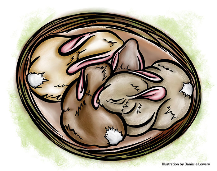 Baby bunnies digital illustration by Danielle Lowery