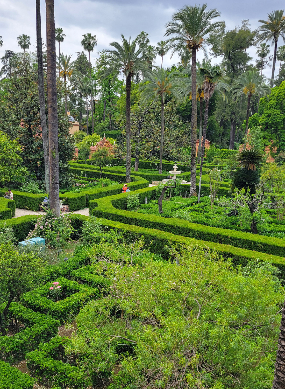 Real Alcazar Gardens: Maze at the Real Alcázar de Sevilla.