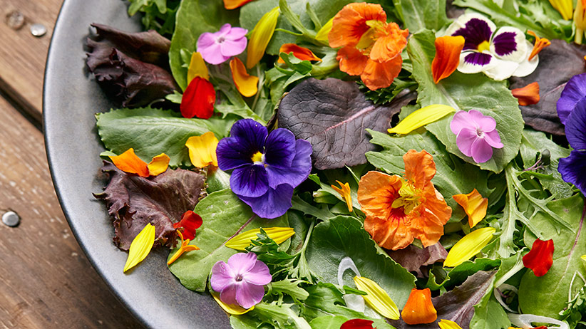 Edible Flowers for Cakes, Cocktails, Salads And More