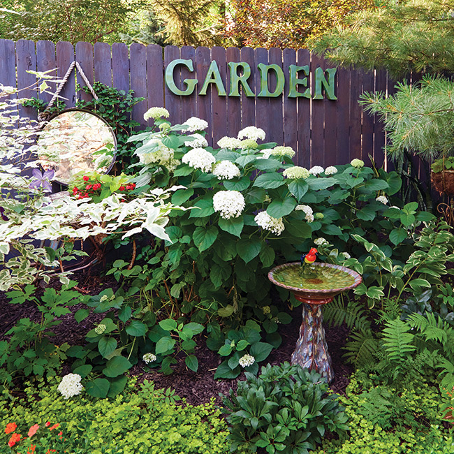 Bonnie Duma Garden fence with hydrangea and birdbath: Look closely and you'll spot an old bicycle peeking out from behind the smooth hydrangea.