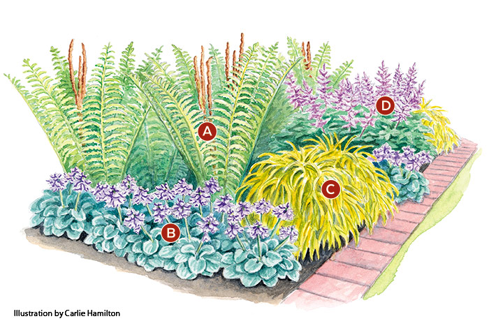 shade garden planting plan with cinnamon fern from Garden Gate Magazine: Grow cinnamon fern with other shade-loving plants for a striking border.