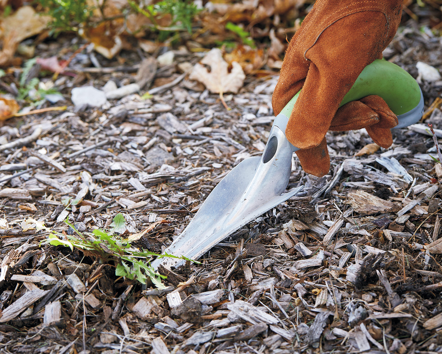 Ergonomic weeder: This unique trowel has a serrated blade and slight “V” shape; it can tackle tough weeds with long taproots, cutting efficiently through mulch and tangled roots, and makes it easy to target weeds. 