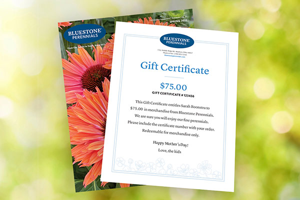 Bluestone Perennials Gift Certificate
