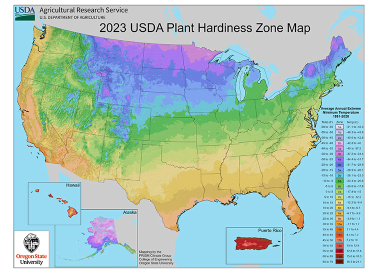 National Map 2023 USDA Plant Hardiness Zone Map-Oregon-State-University: A new USDA plant hardiness map was released in 2023.