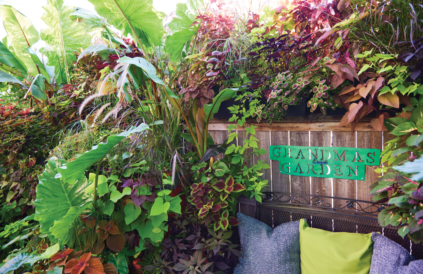 GG187 FG Deronis Cooper lead with Grandmas Garden Sign: A sign that reads “Grandmas Garden” hangs above a comfortable bench to welcome guests to this tropical garden.