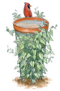 Tomato cage bird bath illustration: Create a budget-friendly birdbath using a tomato cage as the base.