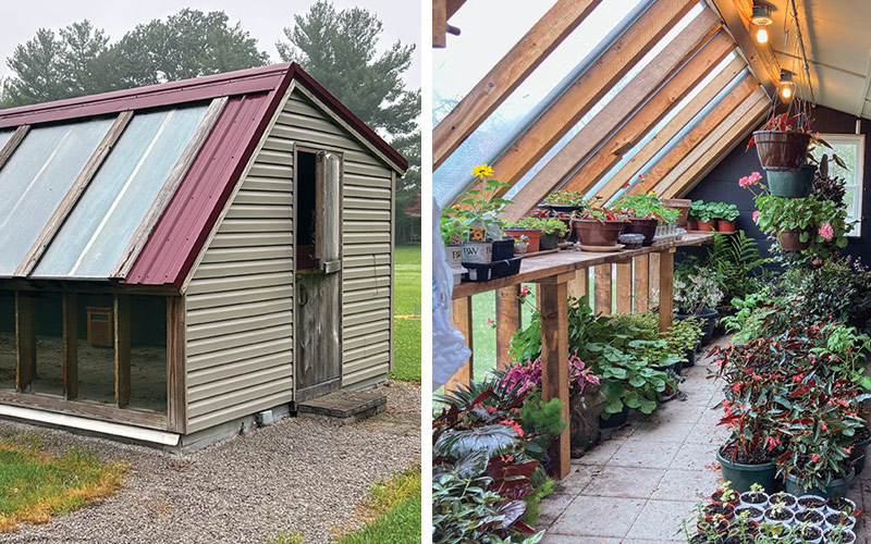 Light Feature Garden Greenhouse:  This budget-friendly building helps the couple save money because they use it to start seeds and overwinter tender plants. 