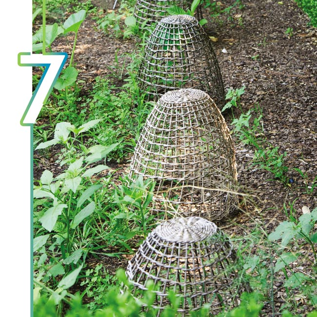 Protect plants from animals: Adding protection to plants in early spring helps keep nibbling critters from new growth.